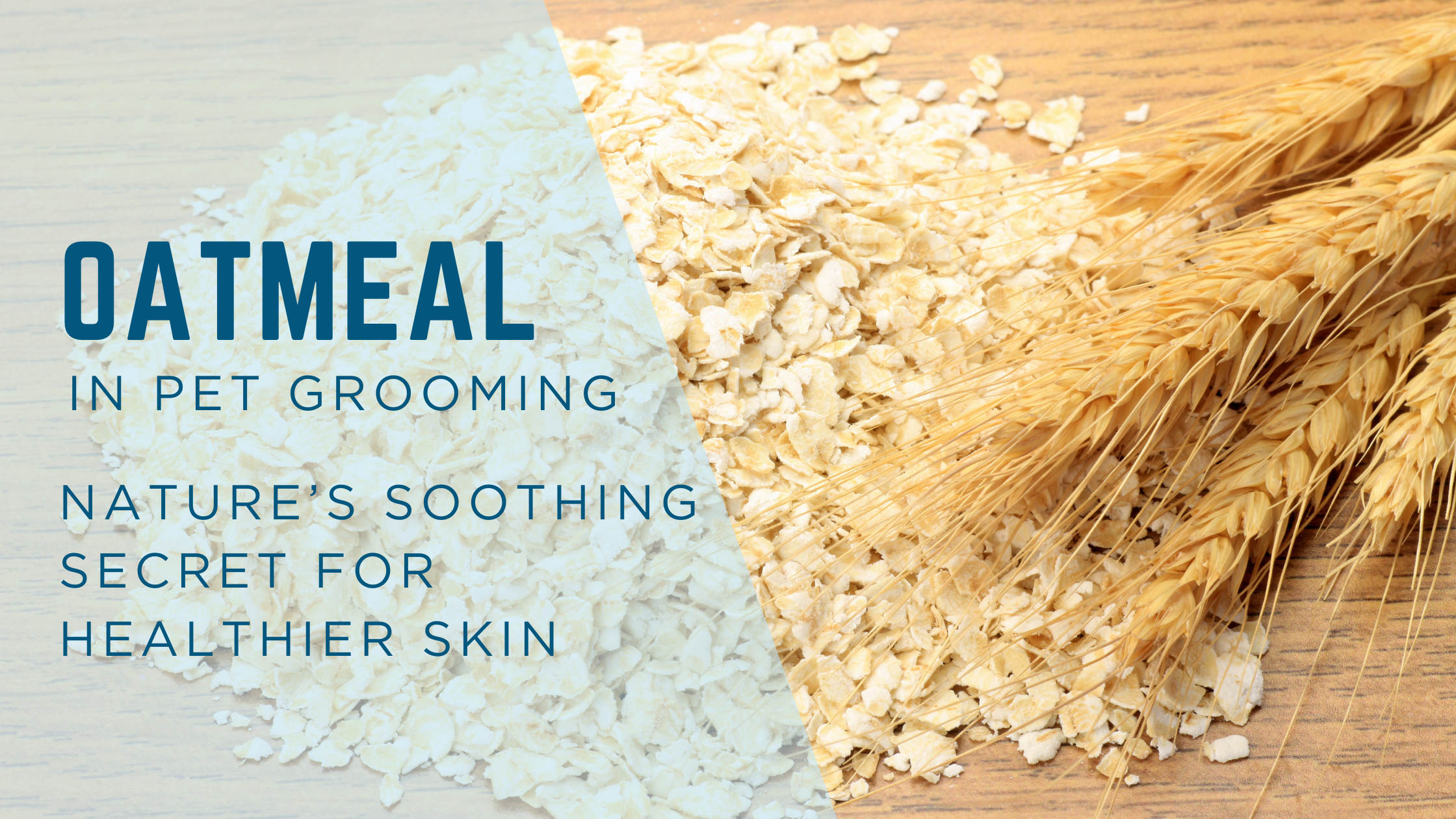 Oatmeal in Pet Grooming: Nature’s Soothing Secret for Healthier Skin