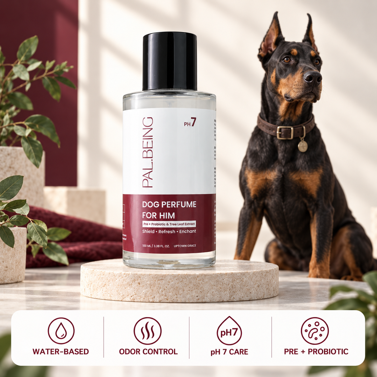 Probiotic Dog Perfume for Him | Uptown Legacy