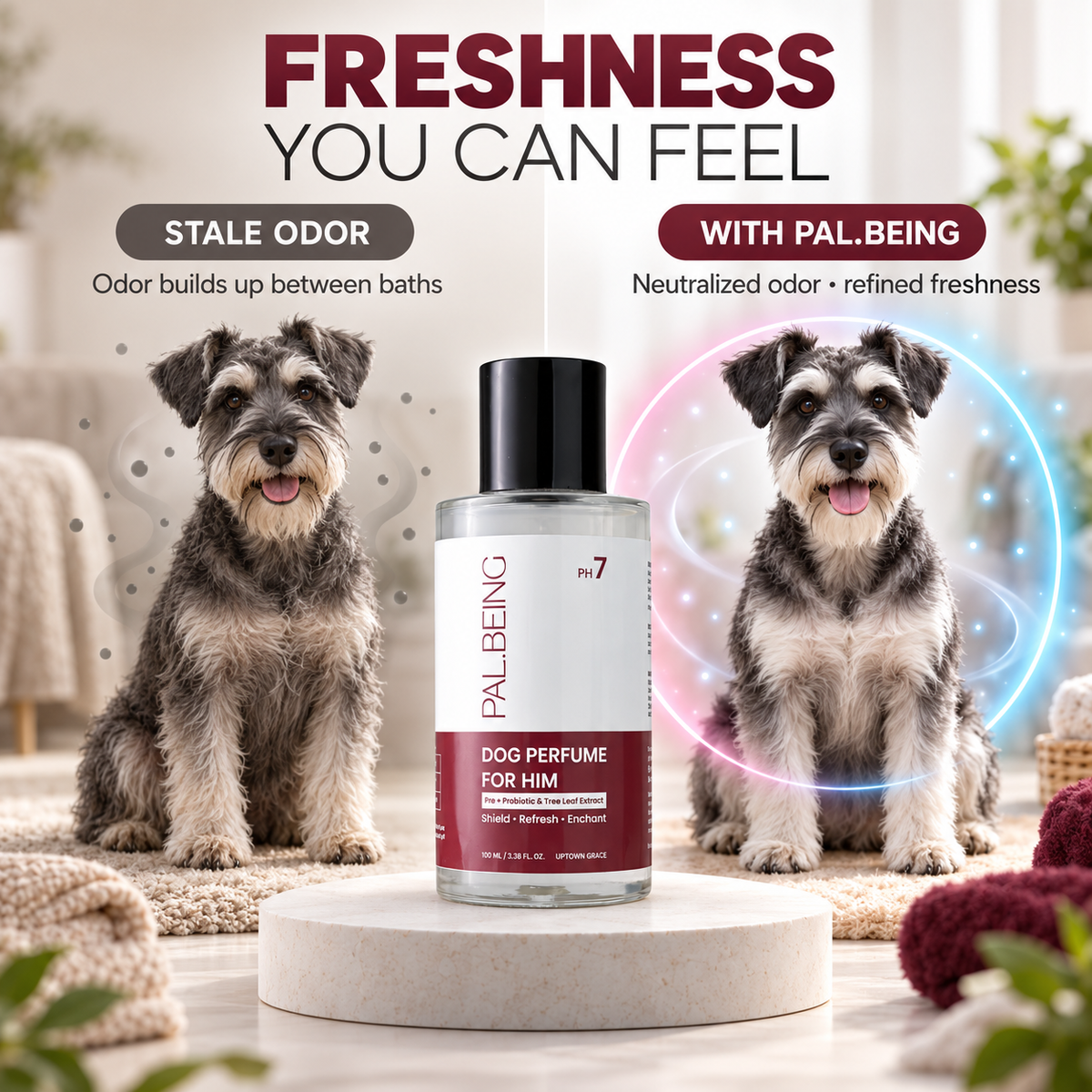 Probiotic Dog Perfume for Him | Uptown Legacy