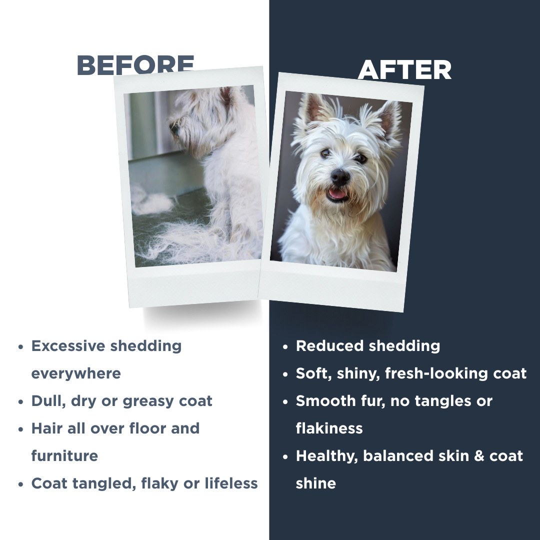 Probiotics Dog Shampoo & Conditioner | De-Shedding Care