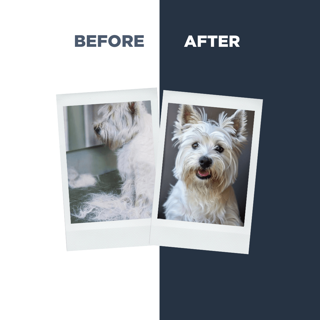 Probiotics Dog Shampoo & Conditioner | De-Shedding Care