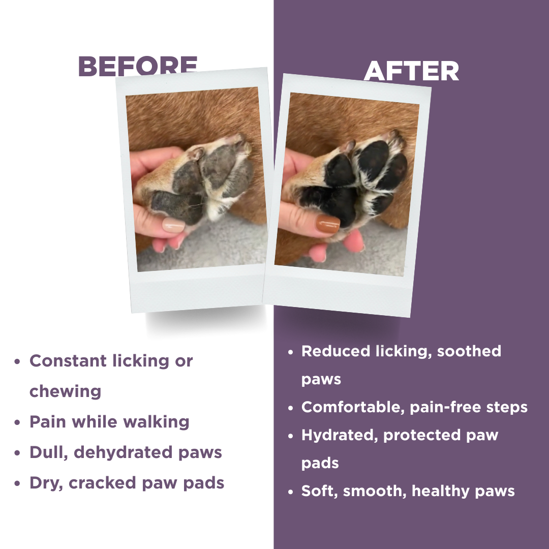 Probiotics Paw Balm | Heal & Shield