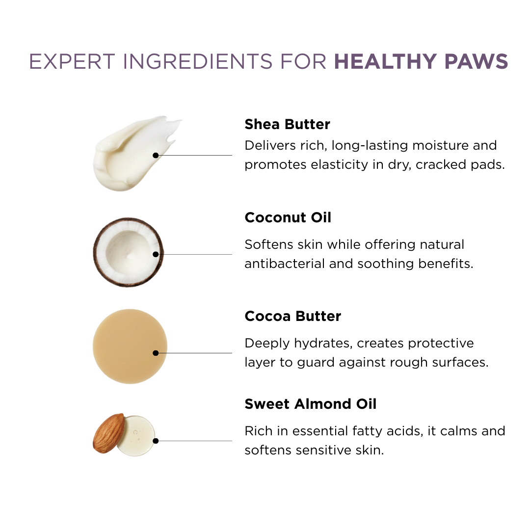 Probiotics Paw Balm | Heal & Shield