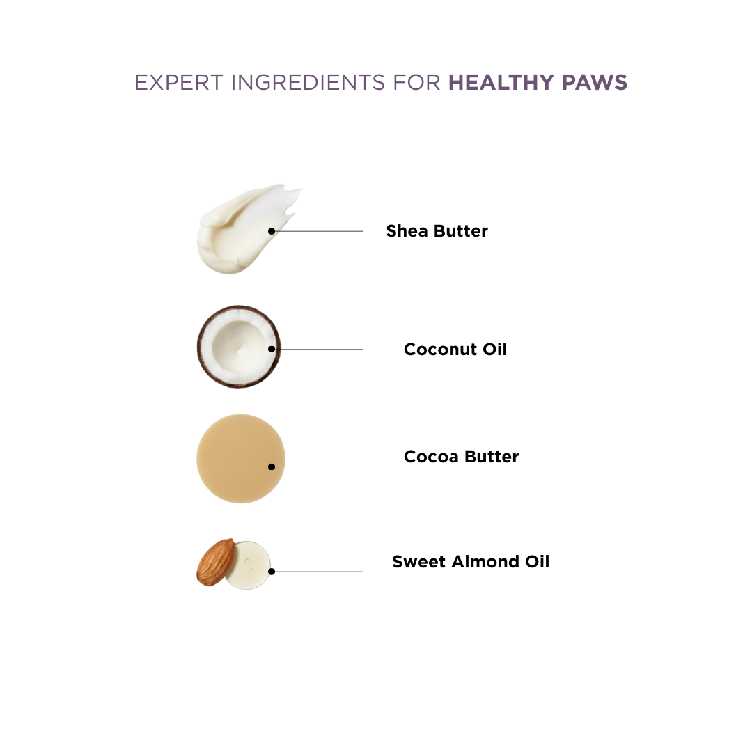 Probiotics Paw Balm | Heal & Shield