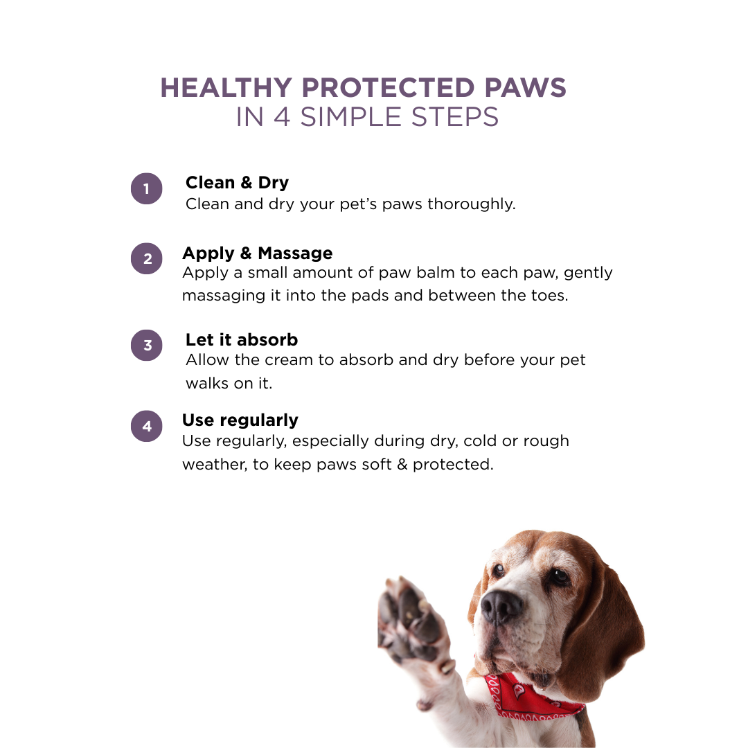 Probiotics Paw Balm | Heal & Shield
