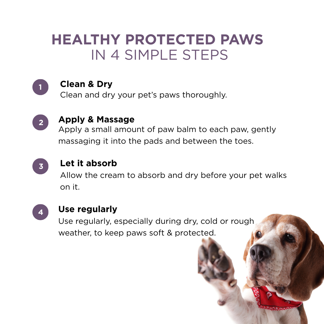 Probiotics Paw Balm | Heal & Shield