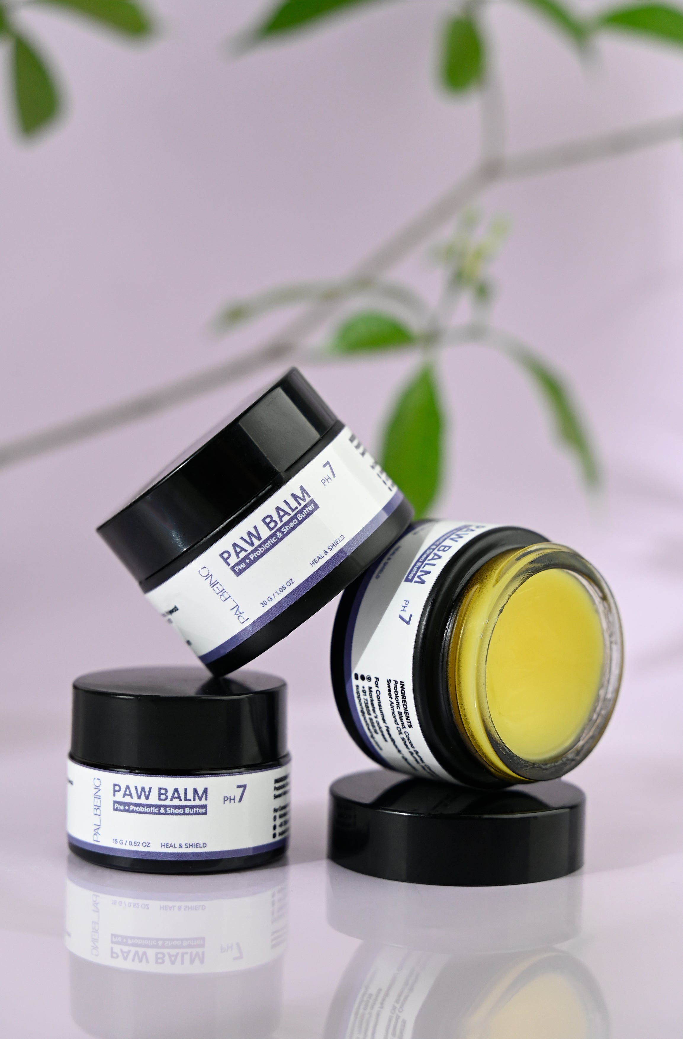Probiotics Paw Balm | Heal & Shield