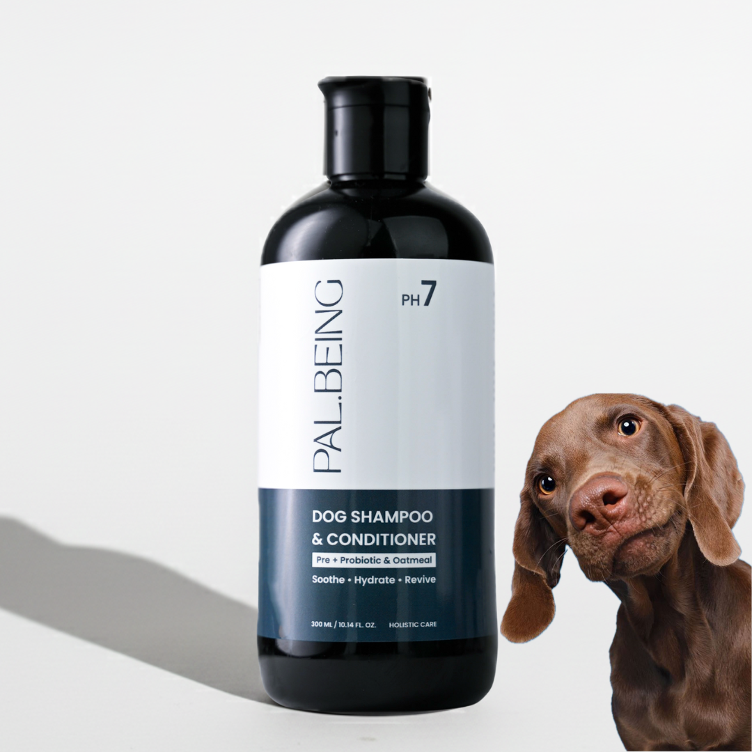 Probiotics Dog Shampoo & Conditioner | Holistic Care