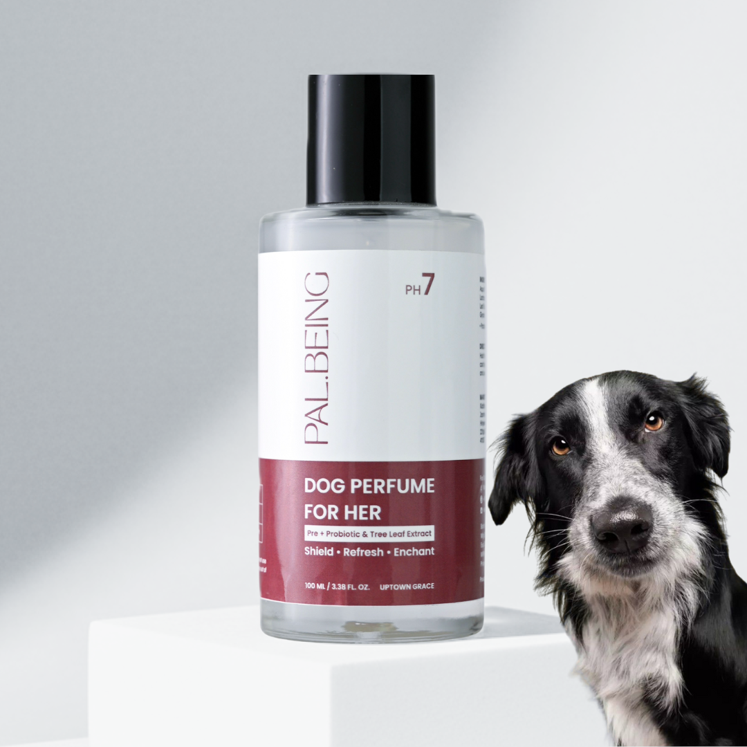 Probiotics Dog Perfume For Her | Uptown Grace