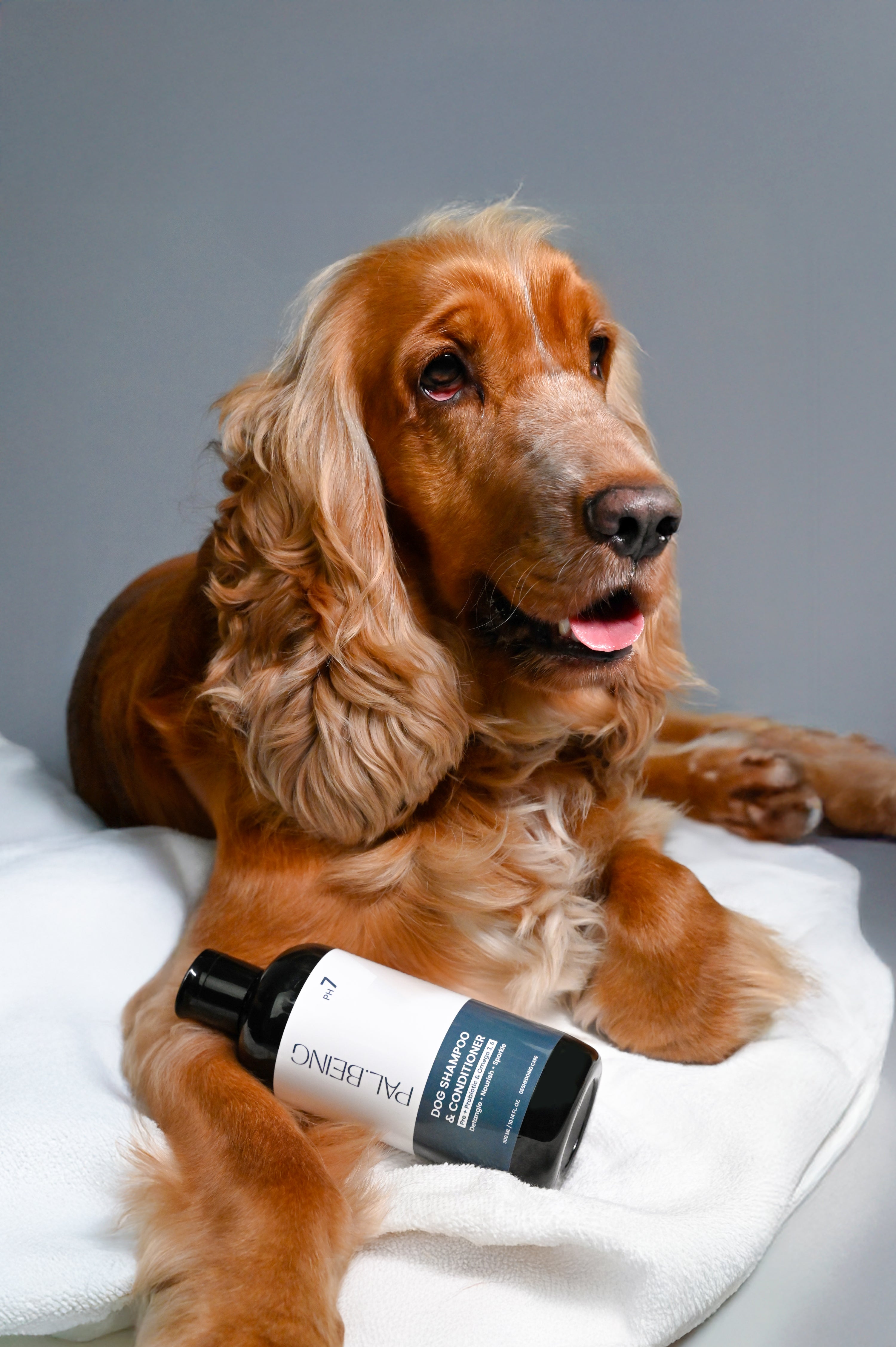 Probiotics Dog Shampoo & Conditioner | De-Shedding Care