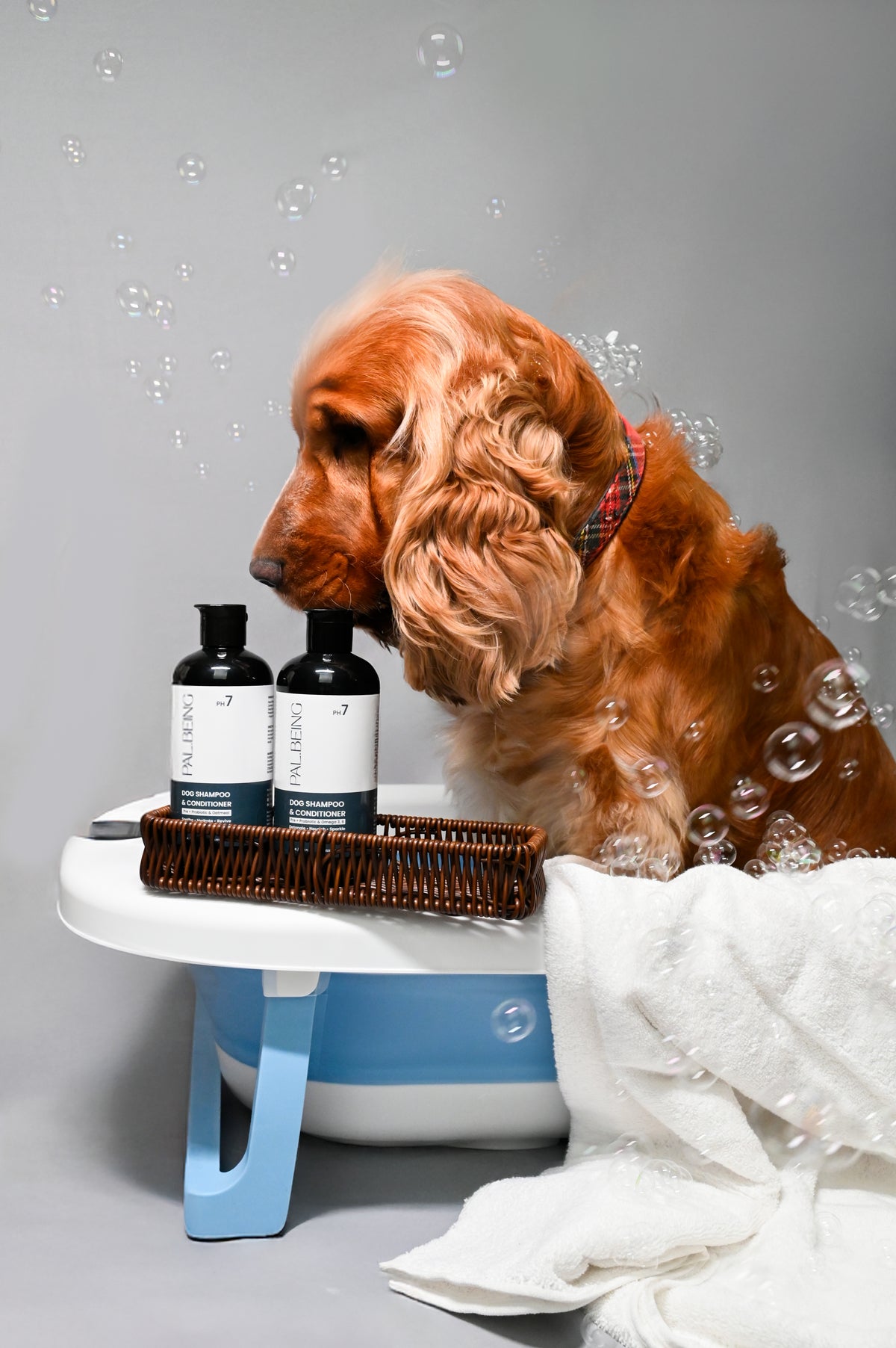 Probiotics Dog Shampoo & Conditioner | Holistic Care
