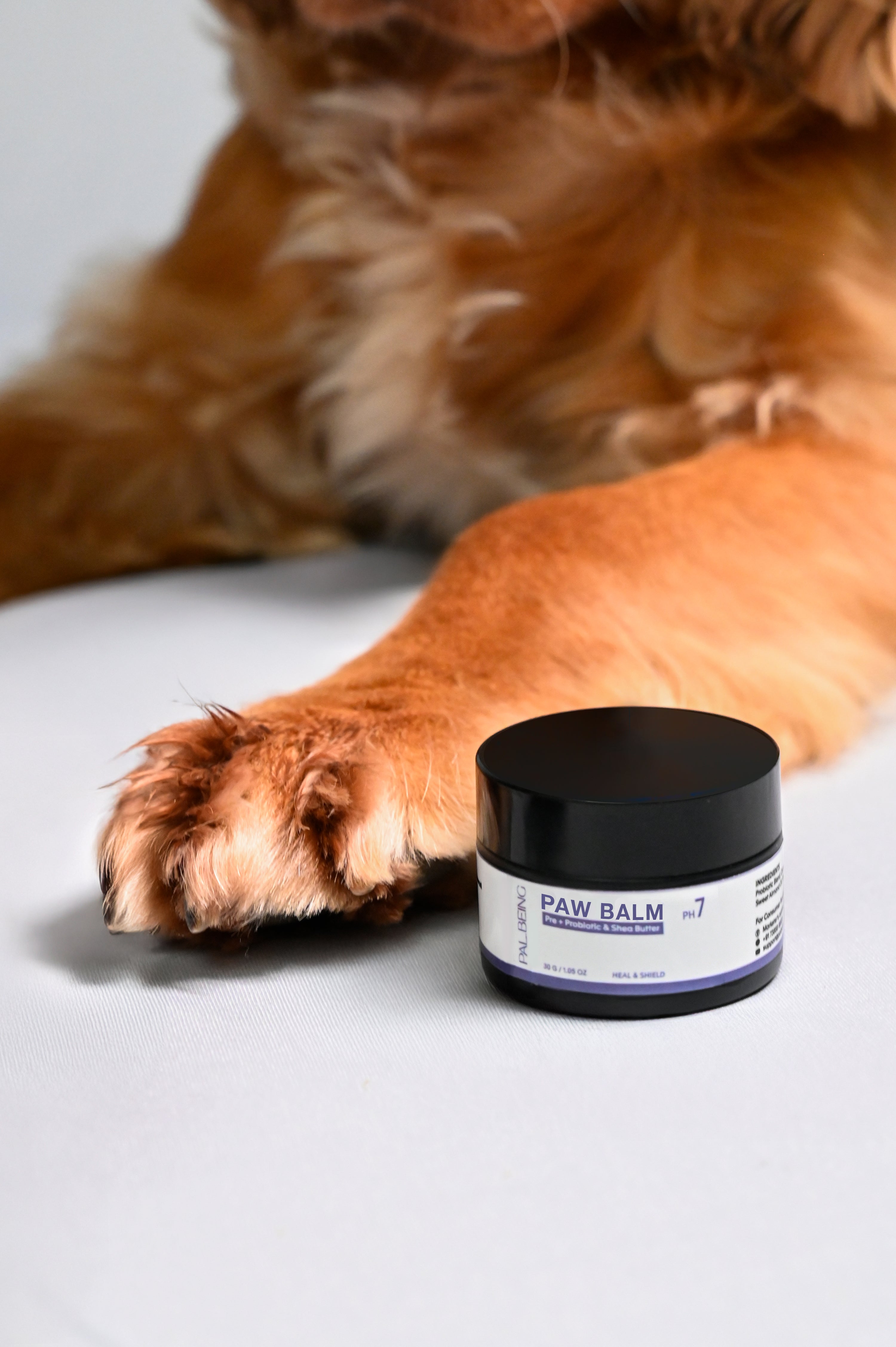 Probiotics Paw Balm | Heal & Shield