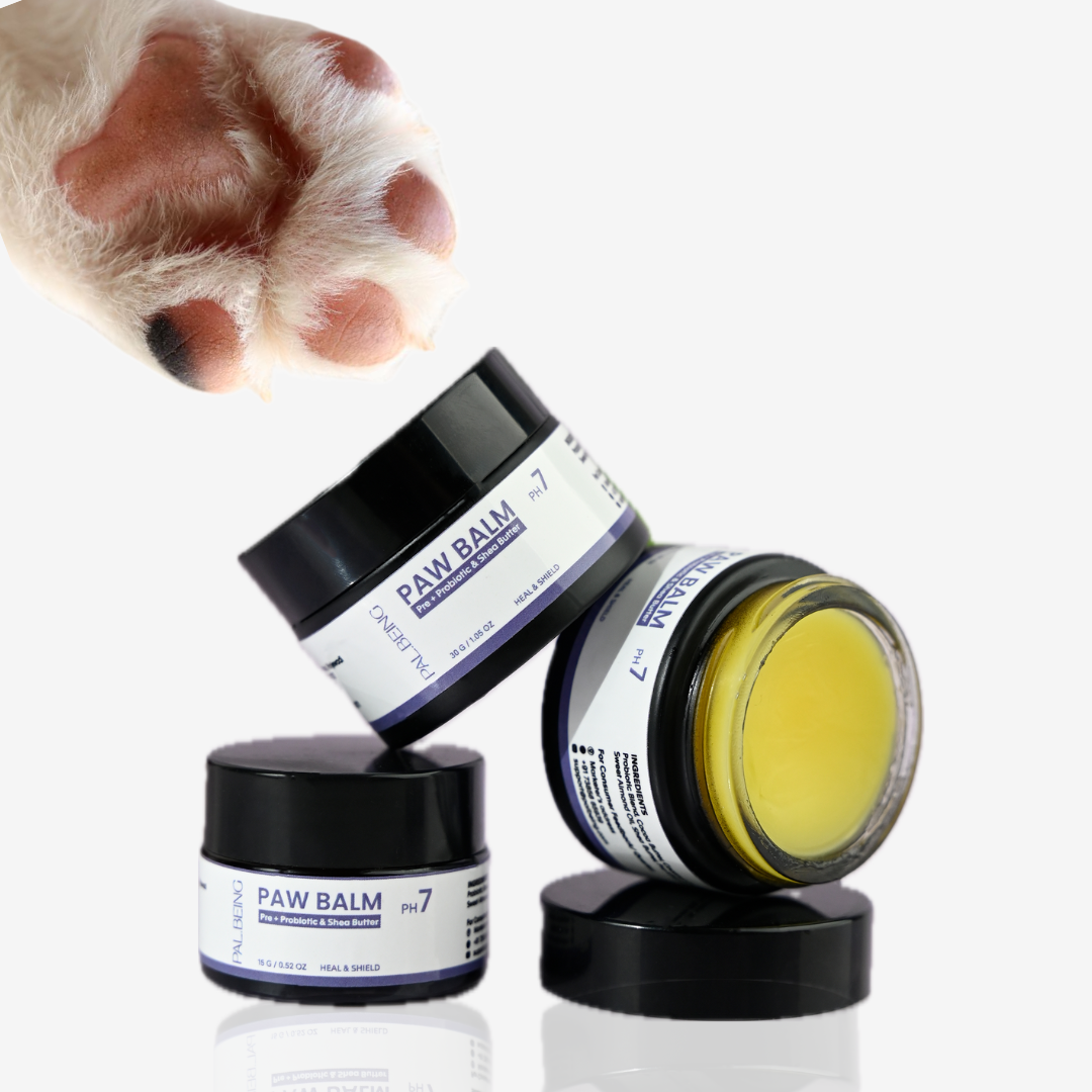 Probiotics Paw Balm | Heal & Shield
