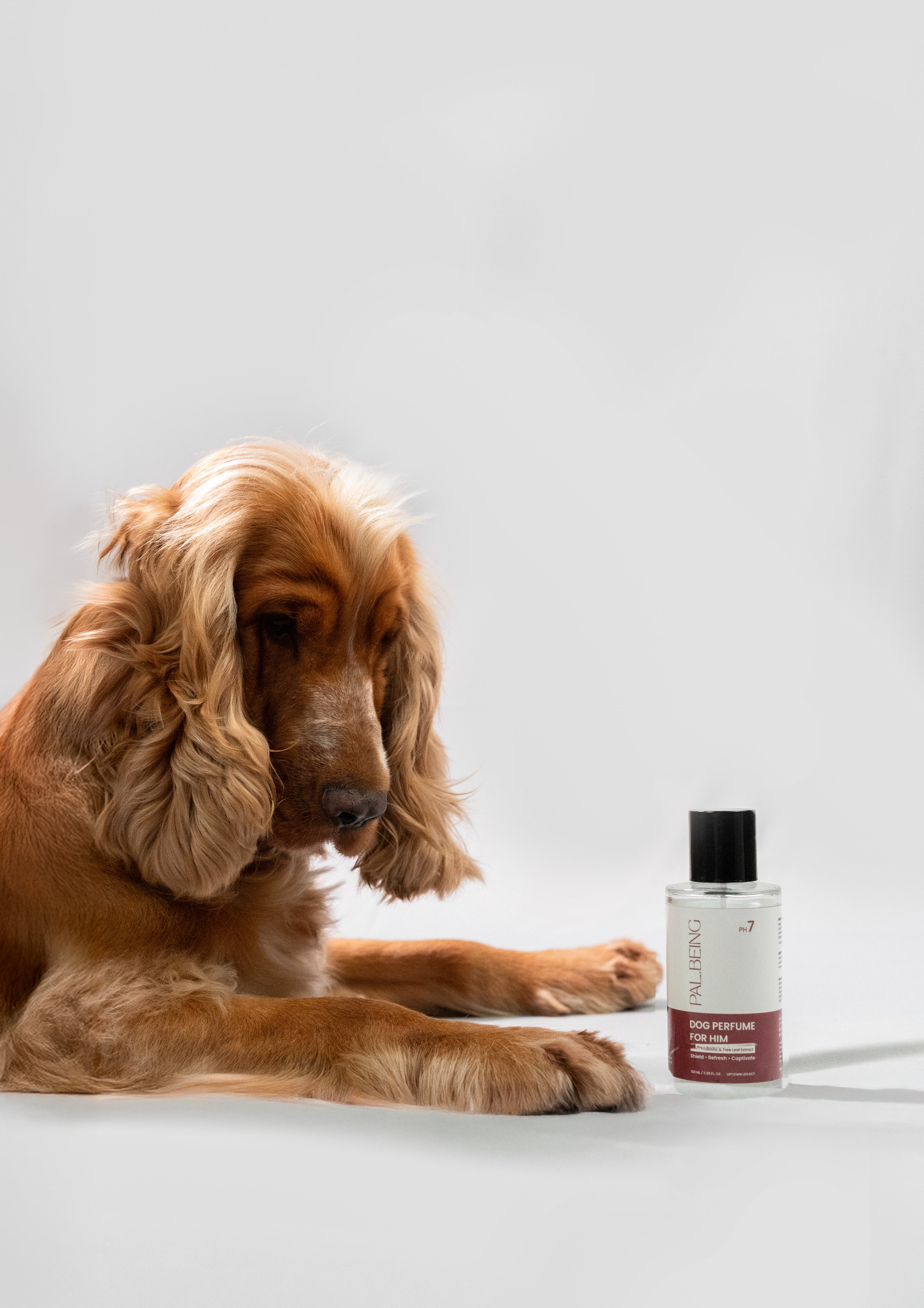 Probiotic Dog Perfume for Him | Uptown Legacy