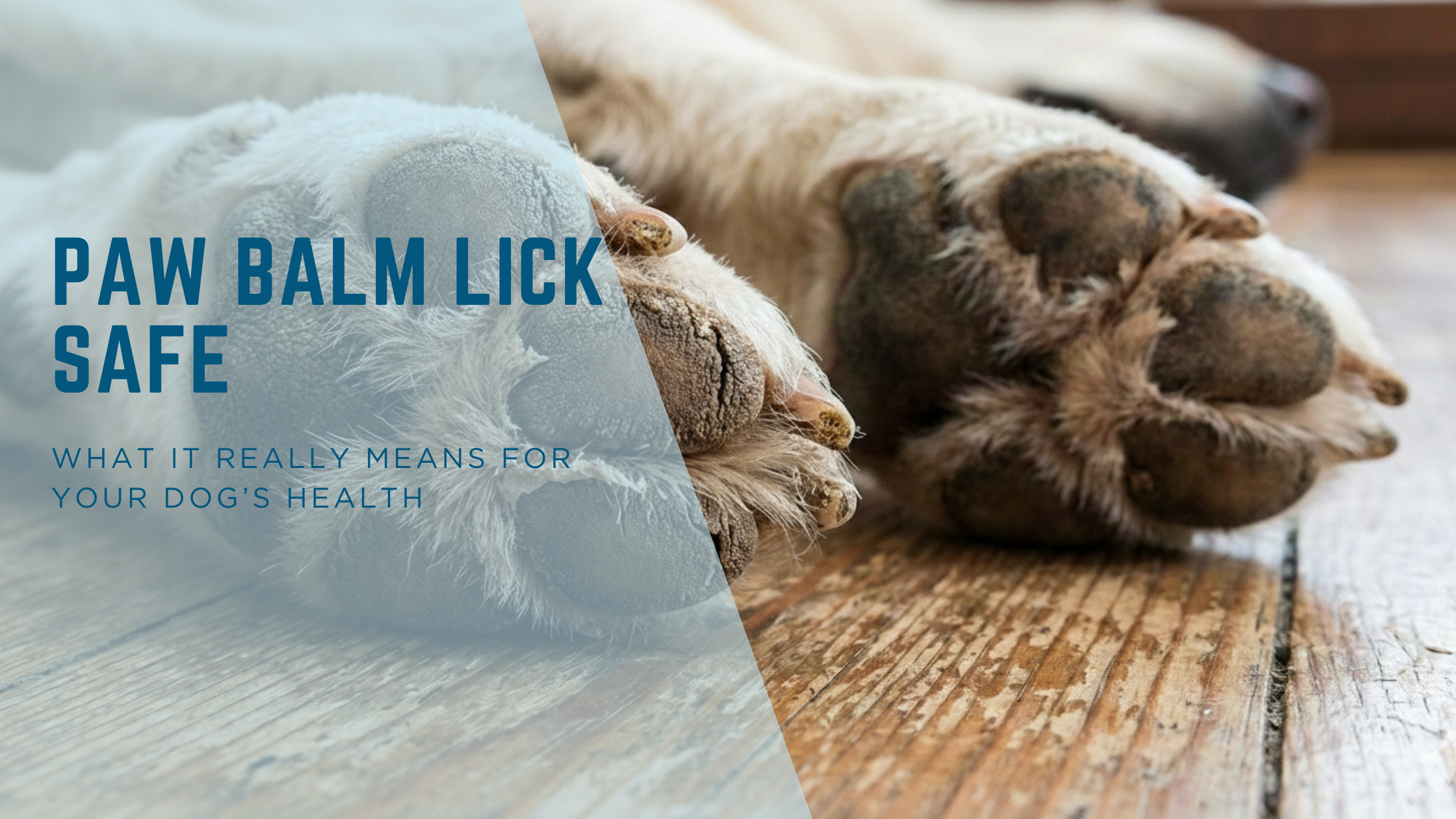 Paw Balm Lick Safe: What It Really Means for Your Dog’s Health
