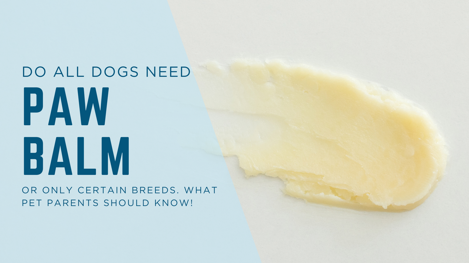 Do All Dogs Need Paw Balm, or Only Certain Breeds?