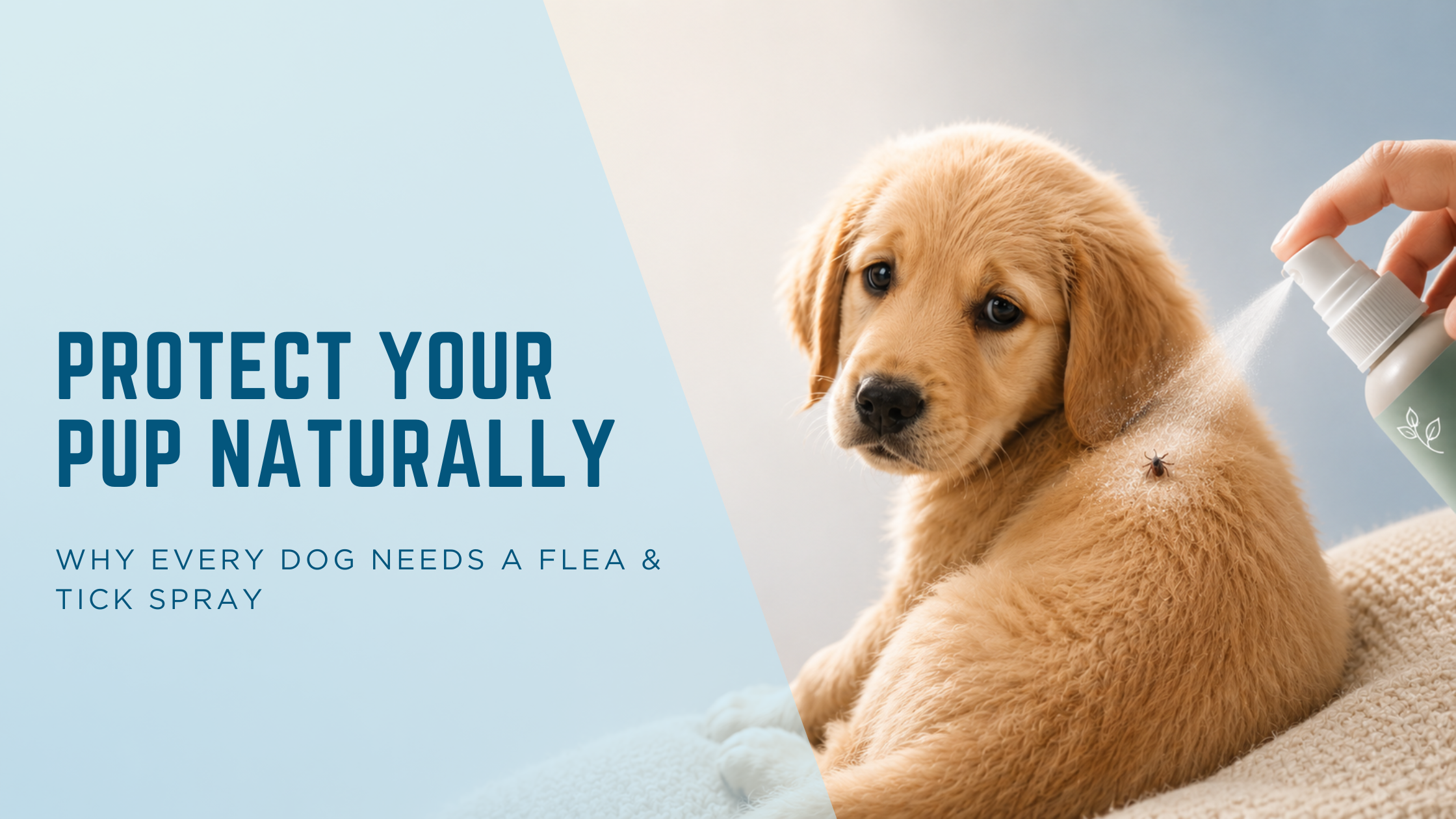 Protect Your Pup Naturally: Why Every Dog Needs a Flea & Tick Spray
