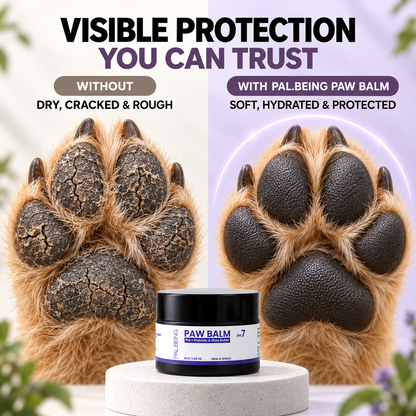 Probiotics Paw Balm | Heal &amp; Shield