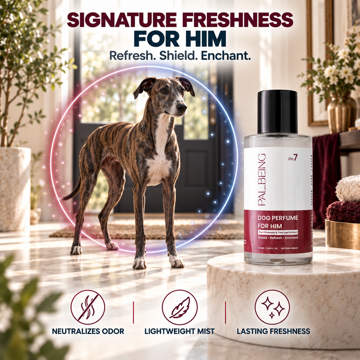 Probiotic Dog Perfume for Him | Uptown Legacy