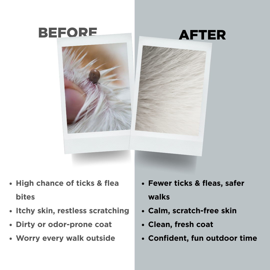 Probiotics Dog Tick &amp; Flea Spray | Shield &amp; Relief