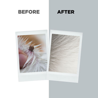 Probiotics Dog Tick &amp; Flea Spray | Shield &amp; Relief