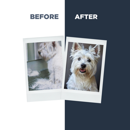 Probiotics Dog Shampoo &amp; Conditioner | De-Shedding Care