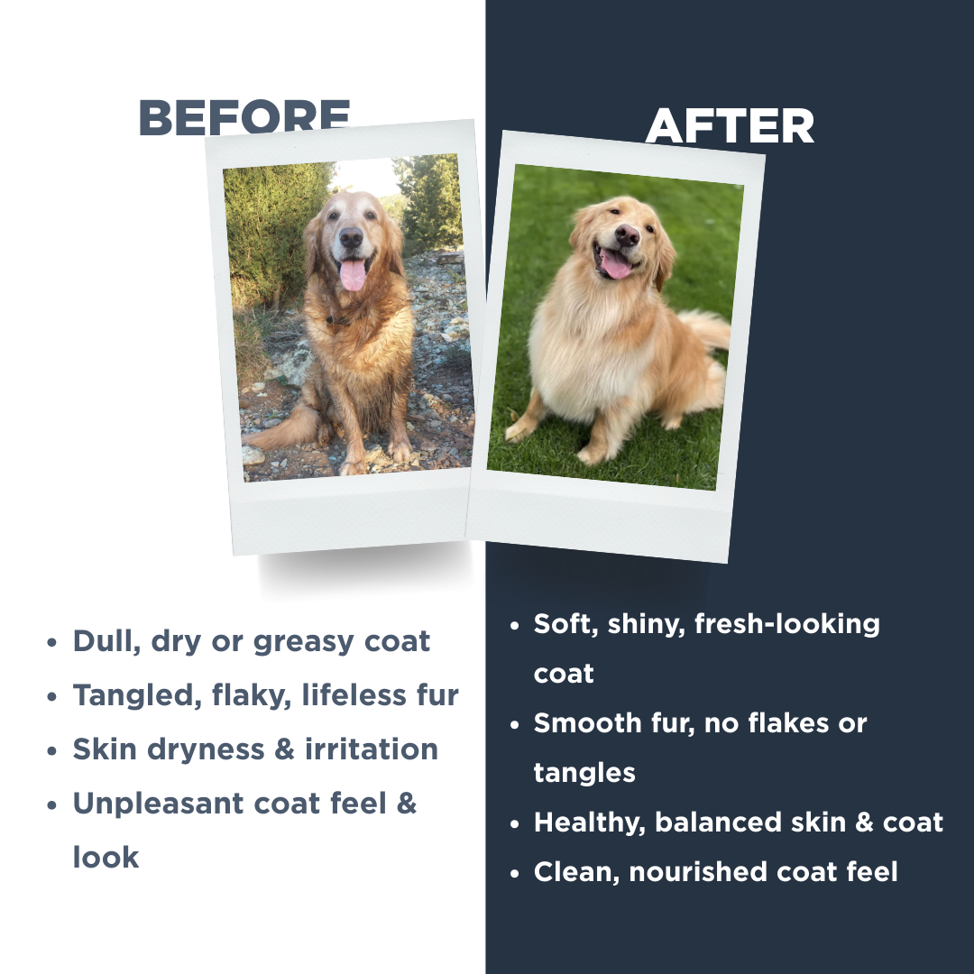 Probiotics Dog Shampoo &amp; Conditioner | Holistic Care