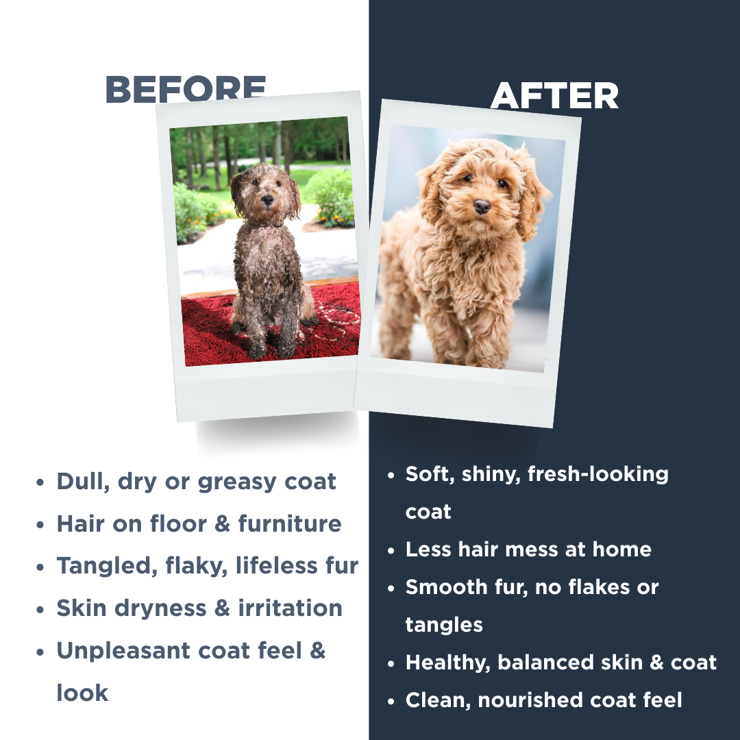 Probiotics Puppy Shampoo &amp; Conditioner | Holistic Care