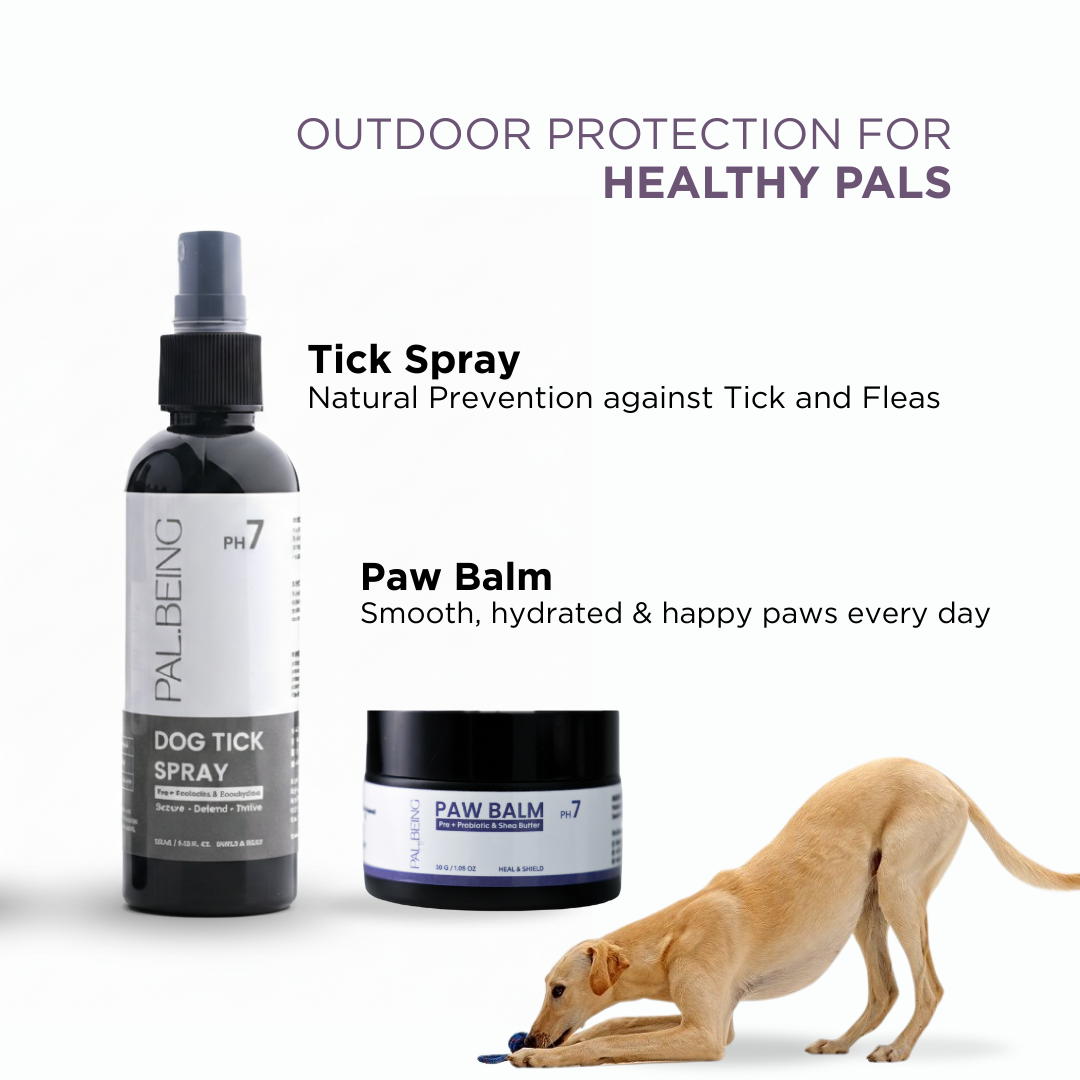 Dog Tick &amp; Flea Spray + Paw Balm Duo