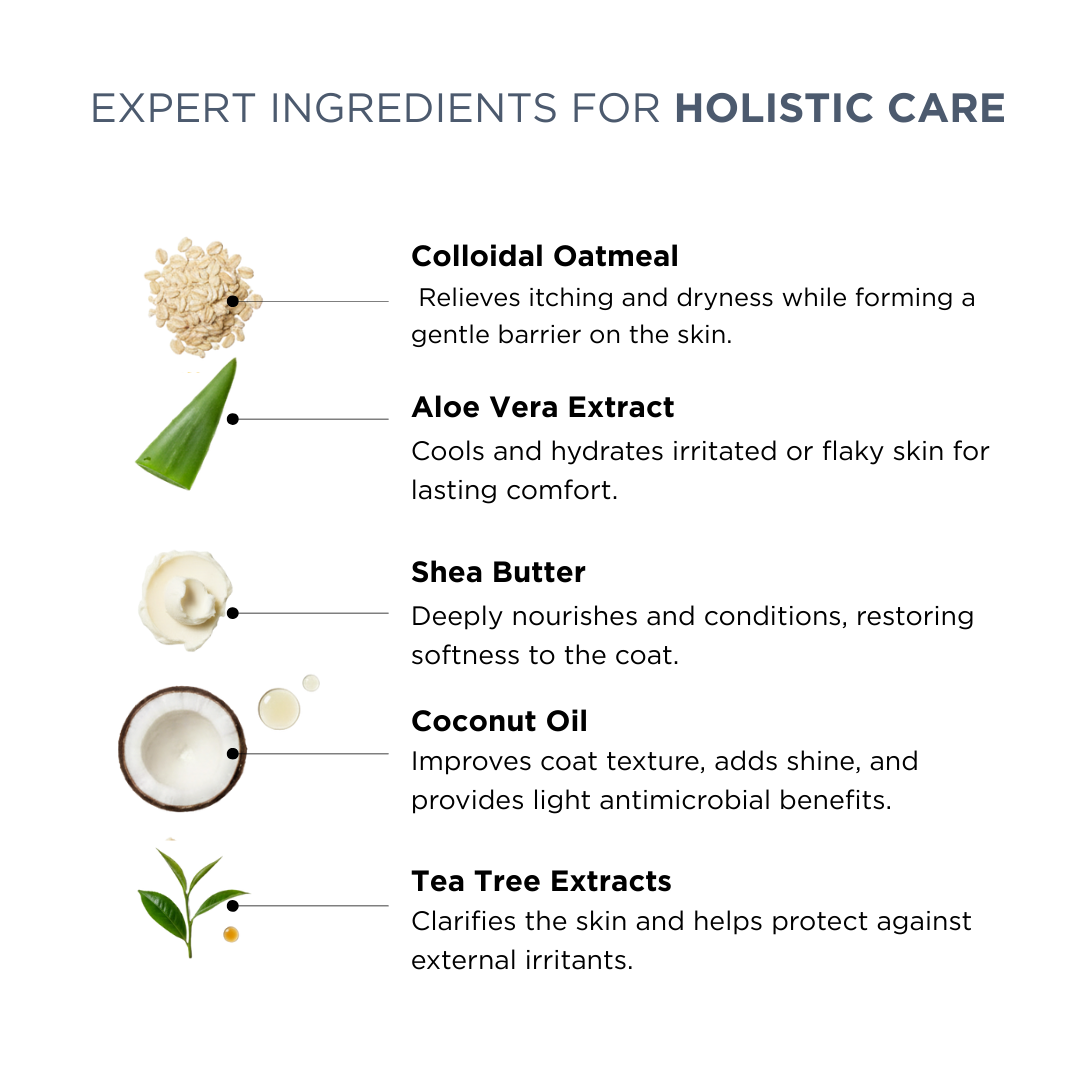 Probiotics Dog Shampoo &amp; Conditioner | Holistic Care