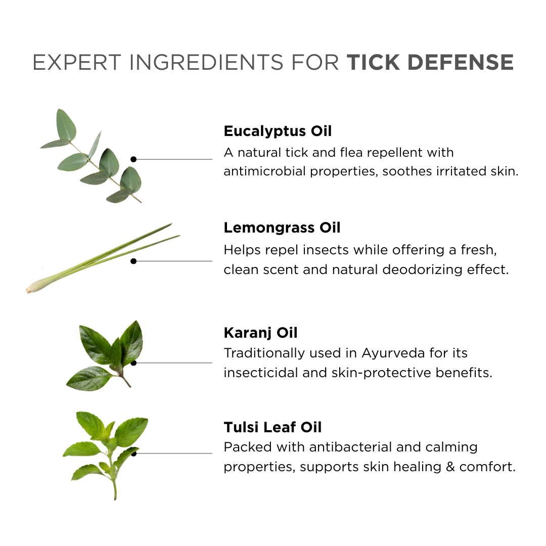 Probiotics Dog Tick &amp; Flea Spray | Shield &amp; Relief