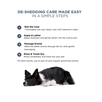 Probiotics Dog Shampoo &amp; Conditioner | Holistic Care