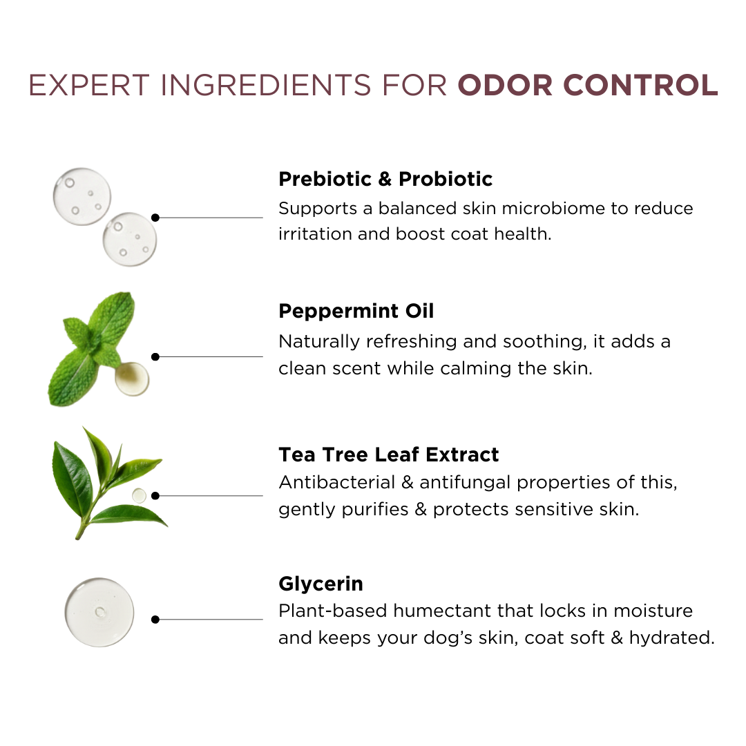 Probiotic Dog Perfume for Him | Uptown Legacy