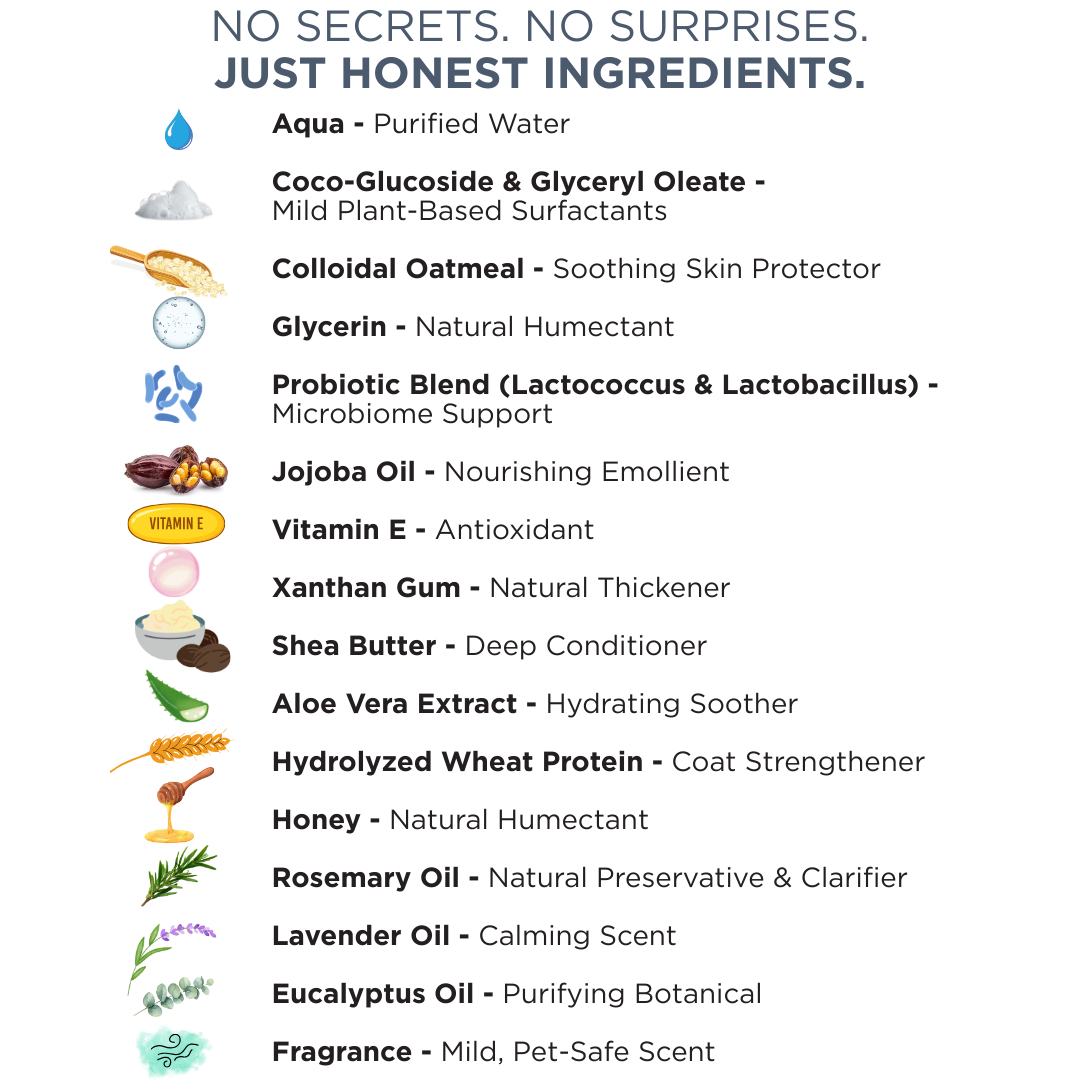 Probiotics Cat Shampoo &amp; Conditioner | Holistic Care