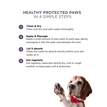Probiotics Paw Balm | Heal &amp; Shield