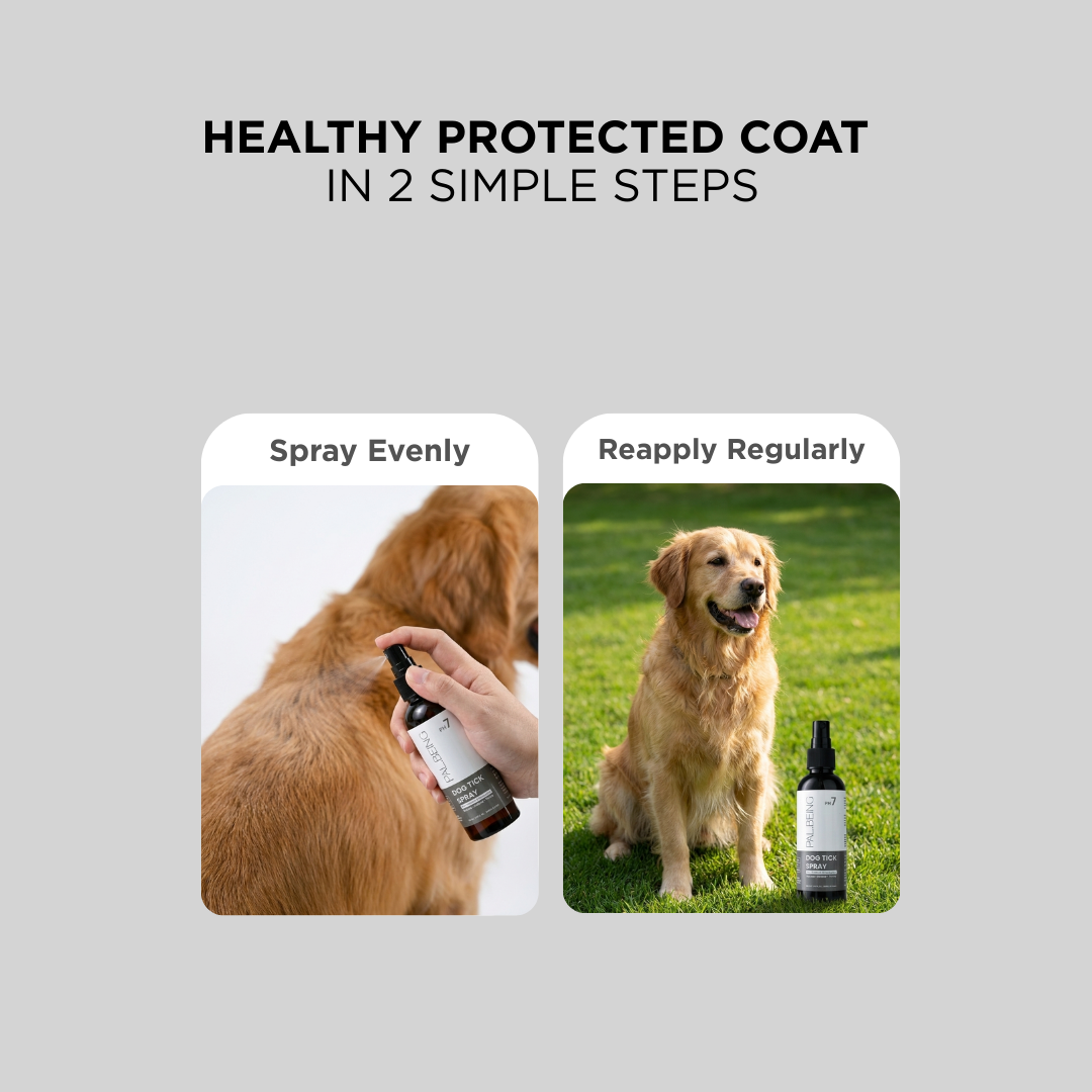 Probiotics Dog Tick &amp; Flea Spray | Shield &amp; Relief