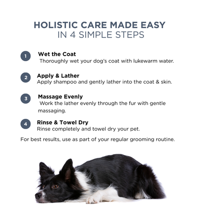 Probiotics Dog Shampoo &amp; Conditioner | Holistic Care