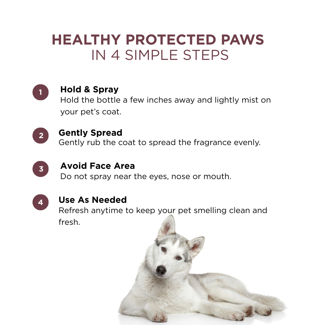 Probiotic Dog Perfume for Him | Uptown Legacy