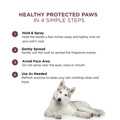 Probiotic Dog Perfume for Him | Uptown Legacy