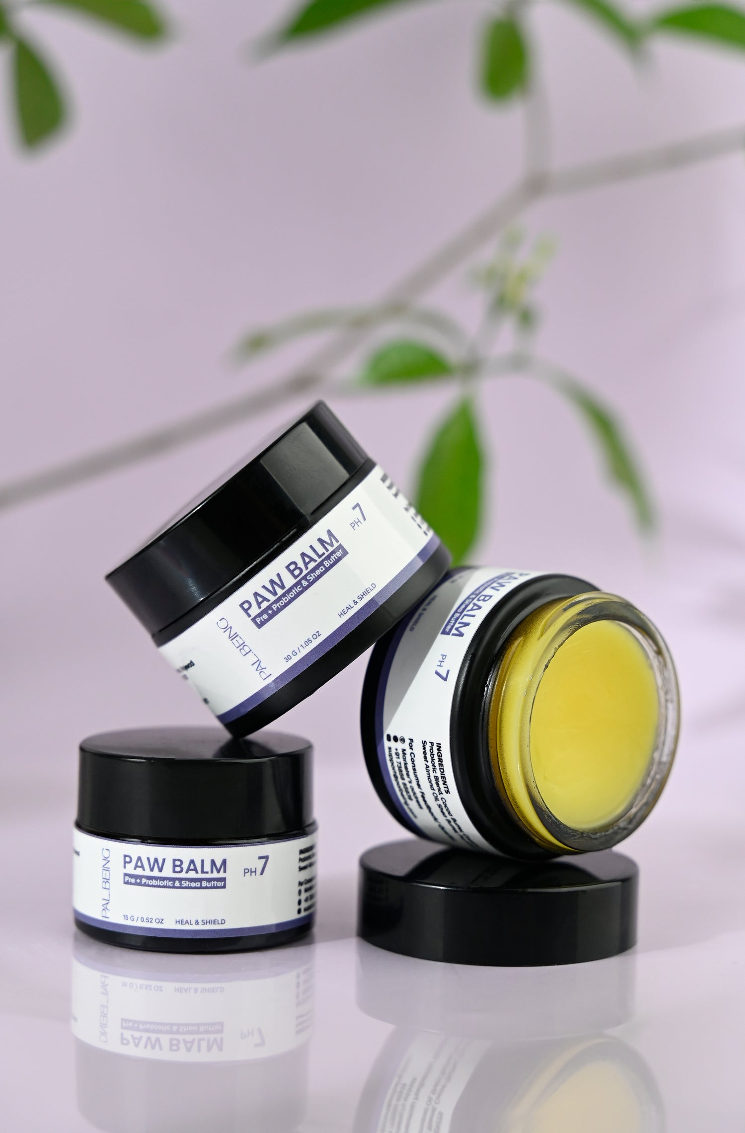 Probiotics Paw Balm | Heal &amp; Shield