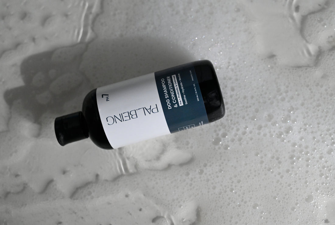 Probiotics Dog Shampoo &amp; Conditioner | Holistic Care