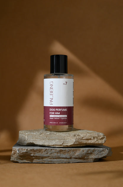 Probiotic Dog Perfume for Him | Uptown Legacy
