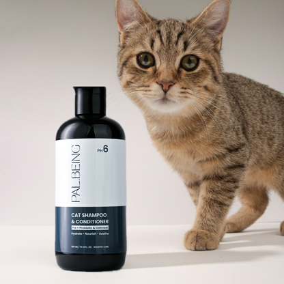 Probiotics Cat Shampoo &amp; Conditioner | Holistic Care