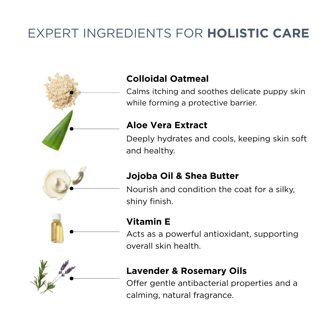 Probiotics Cat Shampoo &amp; Conditioner | Holistic Care