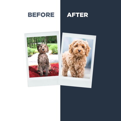 Probiotics Puppy Shampoo &amp; Conditioner | Holistic Care