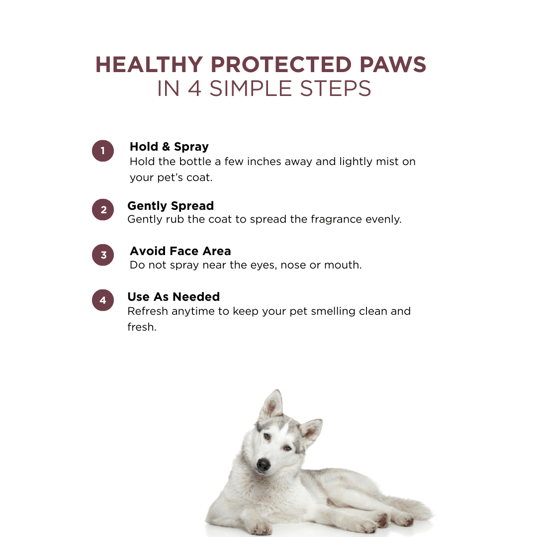 Probiotics Dog Perfume For Her | Uptown Grace