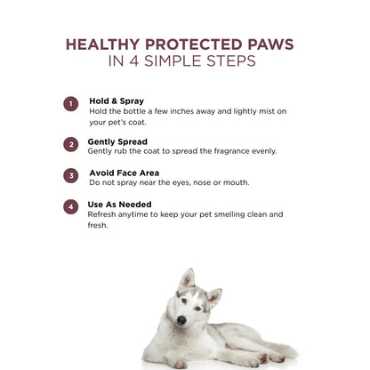 Probiotic Dog Perfume for Him | Uptown Legacy