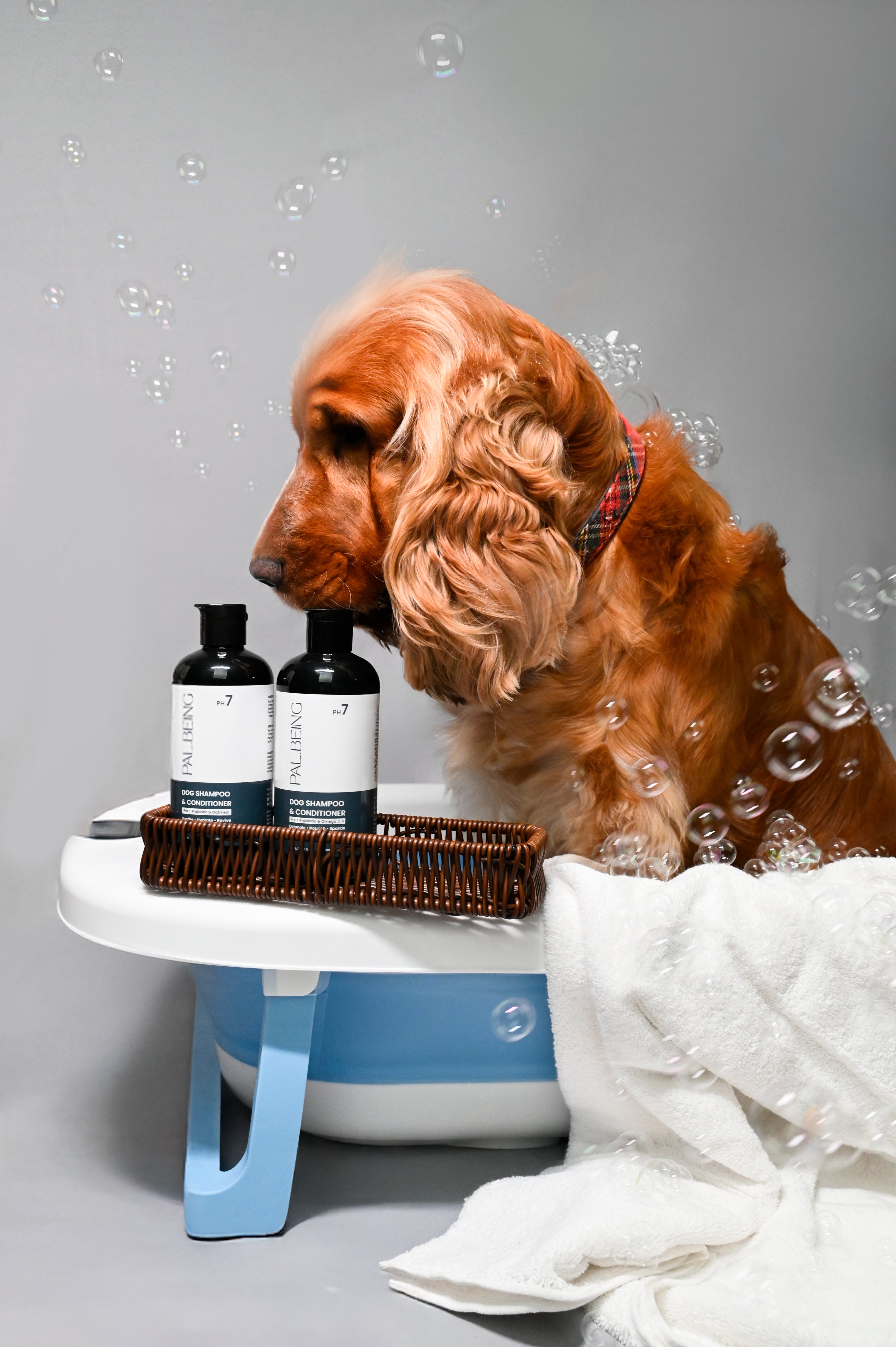Probiotics Dog Shampoo & Conditioner | Holistic Care - Palbeing