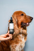 Probiotics Dog Tick & Flea Spray | Shield & Relief