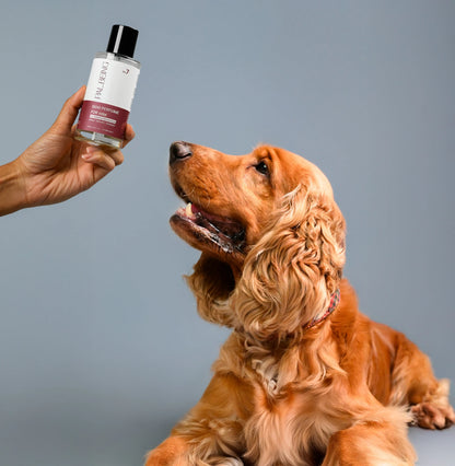 Probiotic Dog Perfume for Him | Uptown Legacy